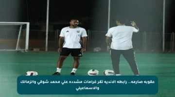 عقوبة صارمة.. رابطة الأندية تقر غرامات مشددة على محمد شوقي والزمالك والإسماعيلي